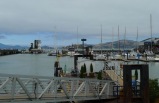 1-Day San Francisco Bus Tour